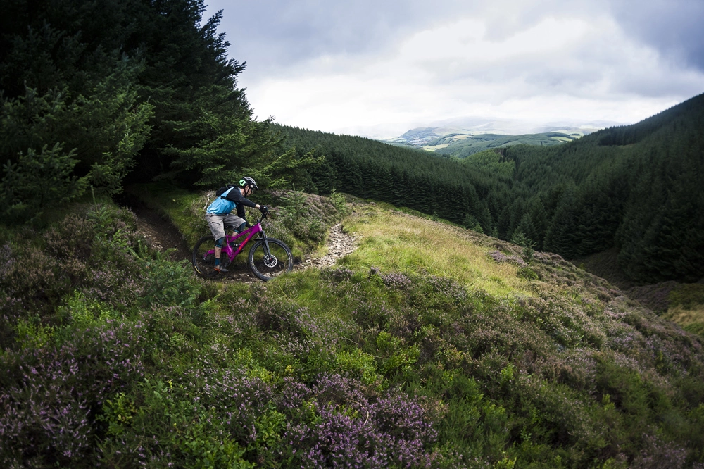 Titelseite 2 Titelseite -Deuter Verkäufe SM Tweed 362 1